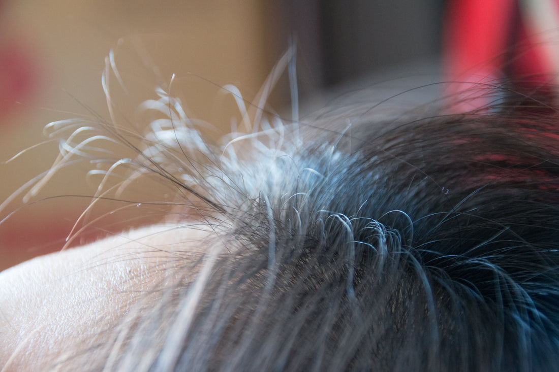 GR-7 ile Saç Rengini Geri Kazanmak: Adım Adım Rehber